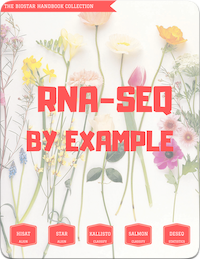 RNA-Seq by Example